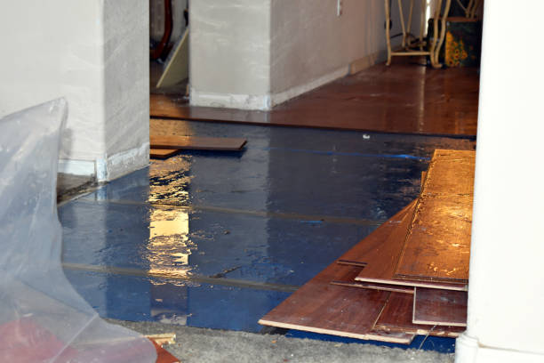 Professional Emergency Water Damage Restoration technician working in Saint Charles, MI