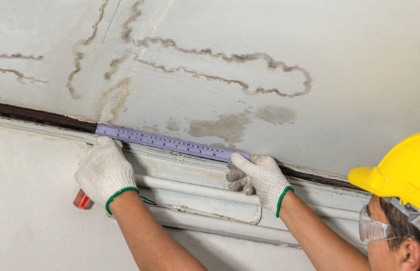 Reliable Emergency Water Damage Restoration contractor in Saint Charles, MI by Water Damage Irwin